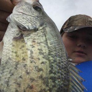 Meet your Posher, Carter